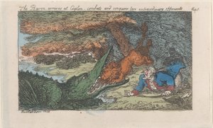 Baron přijíždí na Cejlon, bojuje a dobývá dva mimořádné protivníky..., [1809], znovu vydáno 1811. od Thomas Rowlandson