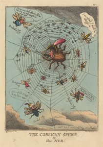 Korsický pavouk ve své síti od Thomas Rowlandson