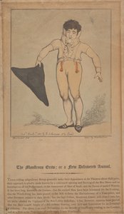 Obrovský plaz; aneb nově objevené zvíře od Thomas Rowlandson