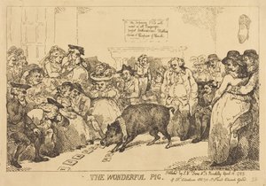 Úžasné prasátko od Thomas Rowlandson