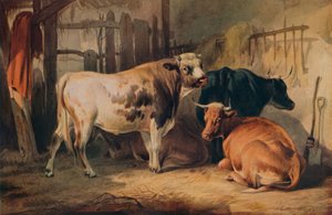 Býk a tři krávy ve stáji, c1856