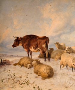 Krávy a ovce ve sněhu, 1864