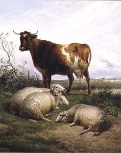 Pasoucí se ovce a kráva od Thomas Sidney Cooper