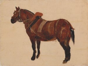 Studie pracovního koně od Thomas Sidney Cooper