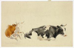 Dvě ležící krávy (recto); nákres stojící krávy (verso) od Thomas Sidney Cooper