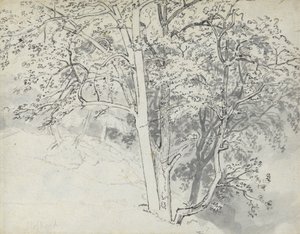 Studium stromů od Thomas Stothard