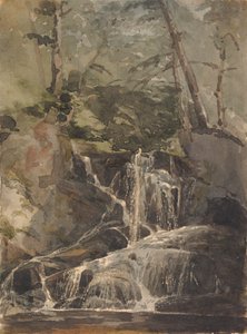Malý vodopád v lese od Thomas Sully