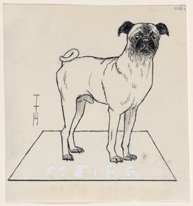 Mops Meier od Thomas Theodor Heine