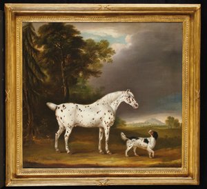 Appaloosa Kůň a španěl, 1807