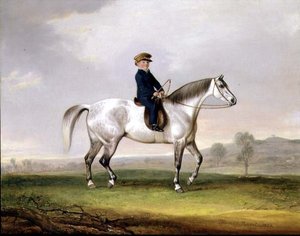 Mistr Edward Humphries na svém Šedém poníkovi od Thomas Weaver