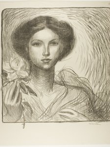 Výstava francouzského umění v Krefeldu od Théophile Alexandre Pierre Steinlen