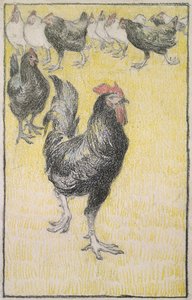 Kohout, následovaný černobílými slepicemi (grafit s černou a barevnou křídou na bílém papíře, ohraničený černou křídou) od Théophile Alexandre Steinlen