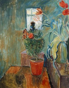 Wallflower a tulipány