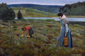 Sbíráme moruška od Thorvald Torgersen