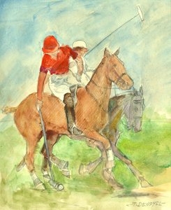 Polo zápas