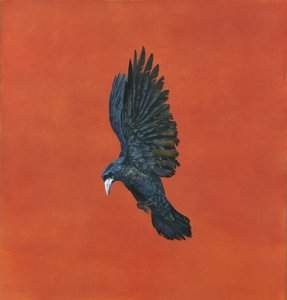 Shine-Red, (Akvarel a kvaš na papíře Arches 640 g/m2,) 101,6 x 91,4 cm