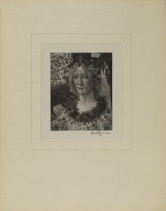Staří italští mistři od Timothy Cole