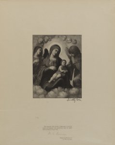 Staří italští mistři od Timothy Cole