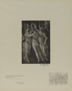 Staří italští mistři od Timothy Cole