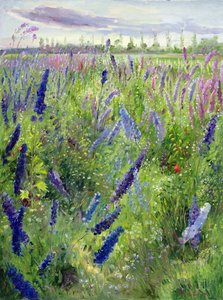 Delphiniums a vycházející slunce od Timothy Easton