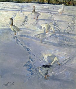 Shadows and Trackways (olej na plátně) od Timothy Easton