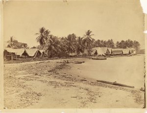 [Chaty, palmy a pláž, Itshumus v Dariénu (Panama)] od Timothy H. O