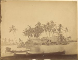 [Limónský záliv, Dariénský průliv (Panama)] od Timothy H. OSullivan