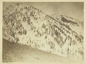 Snow Peaks, důlní revír Bull Run, Nevada