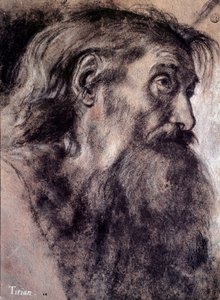 Hlava starého muže Kresba Tiziana Vecellia zvaného Tizian (1485-1576) Paříž 16. století, muzeum Louvre od Titian (c.1488 1576)