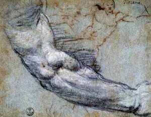 Studie paže, od Tiziana (asi 1488-1576), kresba od Titian (c.1488 1576)