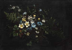 Spray of Flowers and Ferns, datum neznámé. od Titian Ramsay Peale
