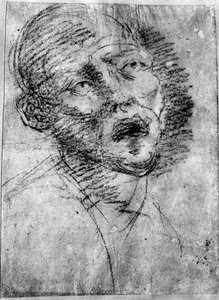 Head of a Moor, c1525, 1937 od Tiziano Vecelli