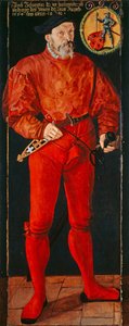 Portrét curyšského vlajkonoše Jacoba Schwytzera, 1564