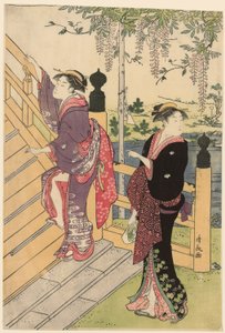 Obdivování vistárie ve svatyni Kameido od Torii Kiyonaga