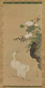 Egrets and Cotton Roses, polovina až konec 17. století. od Tosa Mitsuoki