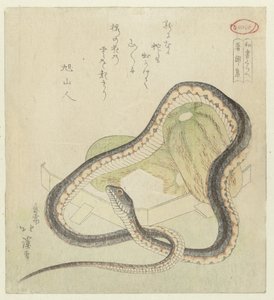 Antologie věcí slyšených, minulých i současných Chomonjû (název na objektu) Srovnání japonských spisů (název série) washo kurabe (název série na objektu) od Totoya Hokkei