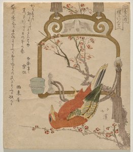 Red Perkint (co? J?-Inco) od Totoya Hokkei