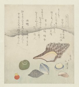Odrazová skořápka, slonovinová skořápka a tritonová skořápka Utsusegai baishi hora (titul na předmětu) Série mušlí (název série) Kaitsukushi (název série na objektu) od Totoya Hokkei