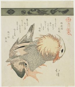 Mandarin Duck and Drake, c. 1830
