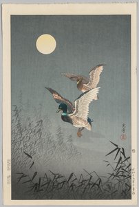 Pohledy na Tokio: Kachny od Tsuchiya Kōitsu
