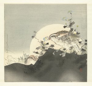 Křepelky od Tsukioka Kogyo