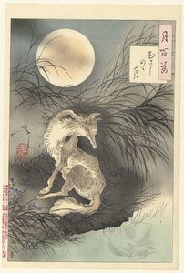 Měsíc Musashi Musashino no tsuki (název na objektu) Sto aspektů Měsíce (název série) Tsuki hyakushi (název série na objektu) od Tsukioka Yoshitoshi