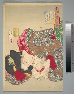 Dráždit kočku od Tsukioka Yoshitoshi