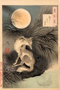 Měsíc na Musashi Plain (Musashino no tsuki) - ze série Sto aspektů měsíce od Tsukioka Yoshitoshi