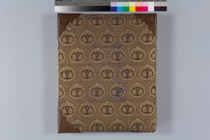 Album jestřábů a kaligrafie