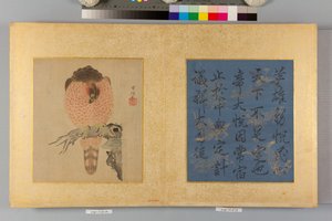 Album jestřábů a kaligrafie od Tsunenobu Kano