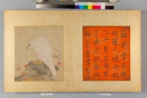 Album jestřábů a kaligrafie od Tsunenobu Kano