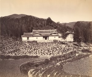 Teafield & Josshouse v Peling, ca. 1869. od Tung Hing.