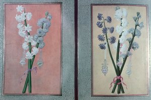 T.K.Hazine 413 Dva hyacinty, 1736 od Turkish School