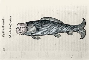 Reprezentace ryb Nicolasova deska ilustrovaná rukopisem Natural History od Ulisse Aldrovandi (1522-1605), Ulisse Aldrovandi fonds, Univerzitní knihovna v Bologni, ed. 1603.